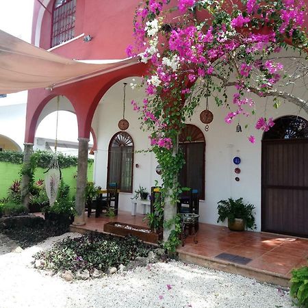 Hotel Casita Rustica En La Selva Cancún Exteriér fotografie
