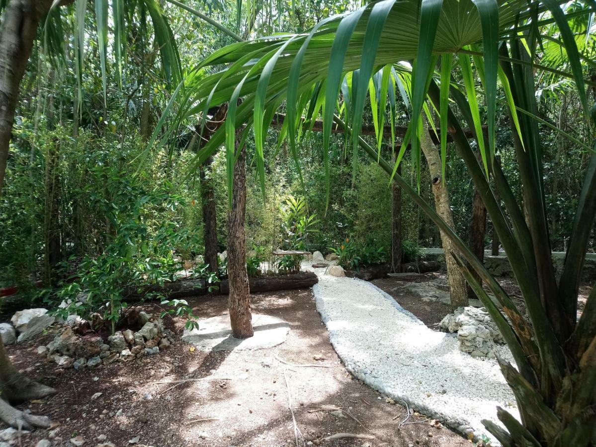 Hotel Casita Rustica En La Selva Cancún Exteriér fotografie