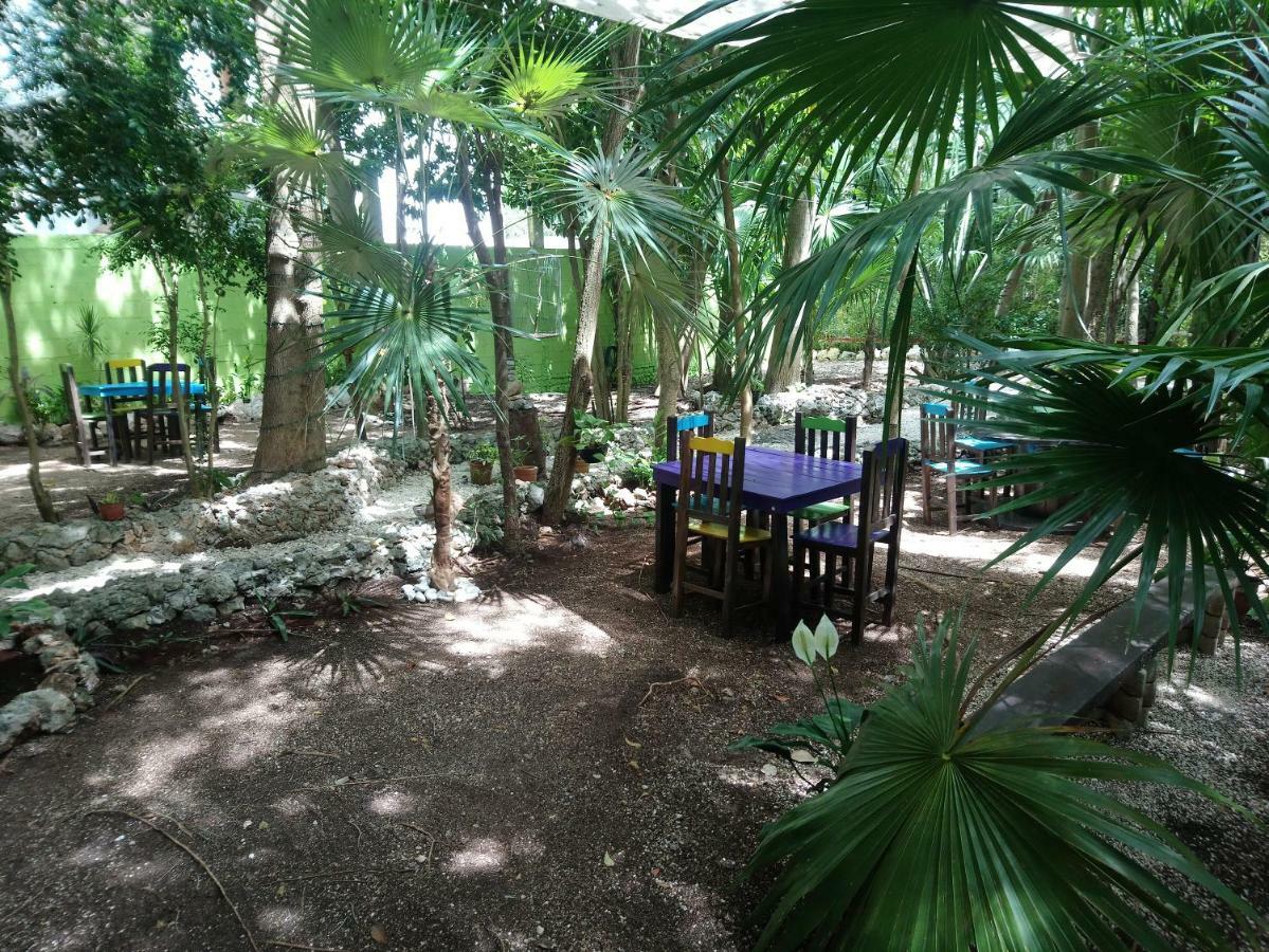 Hotel Casita Rustica En La Selva Cancún Exteriér fotografie
