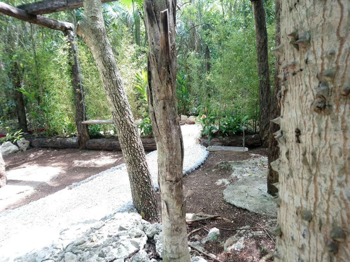 Hotel Casita Rustica En La Selva Cancún Exteriér fotografie